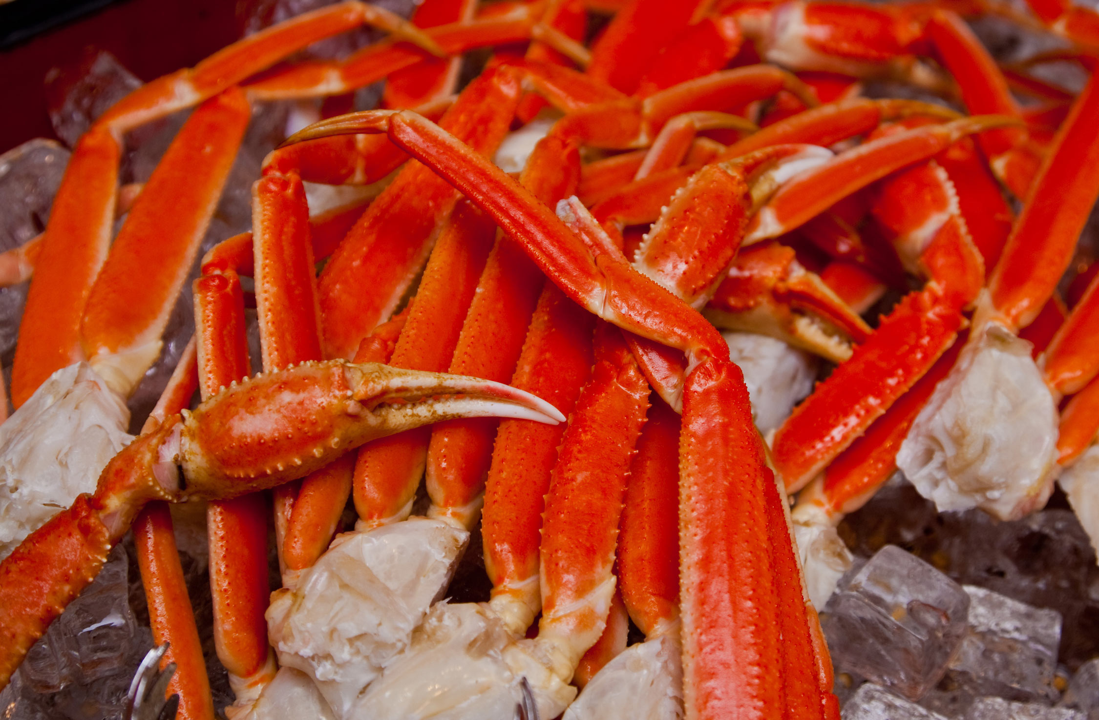 Crab pile AdobeStock 200982731 Web