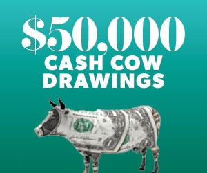 $50,000 Cash Cow Drawings