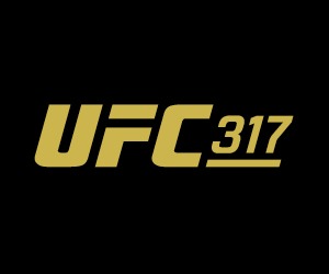 UFC 317