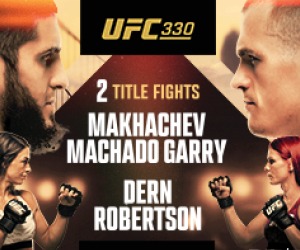 UFC 330