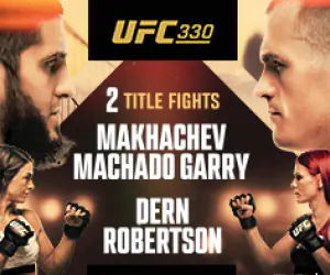 UFC 330